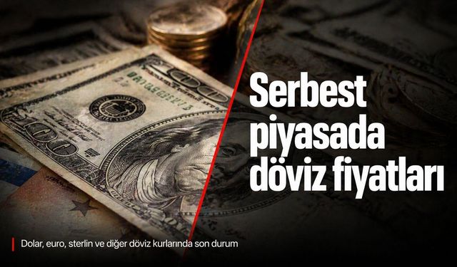 Serbest Piyasada Döviz Güne Yükselişle Başladı