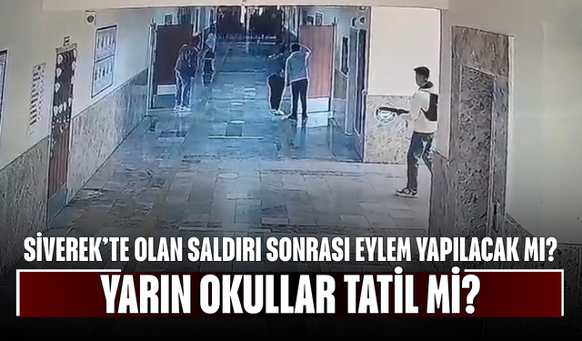 Siverek’te Olan Saldırı Sonrası Eylem Yapılacak mı? Yarın Okullar Tatil mi?