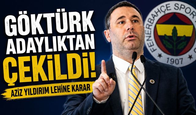 Barış Göktürk, Fenerbahçe Başkan Adaylığından Çekildi