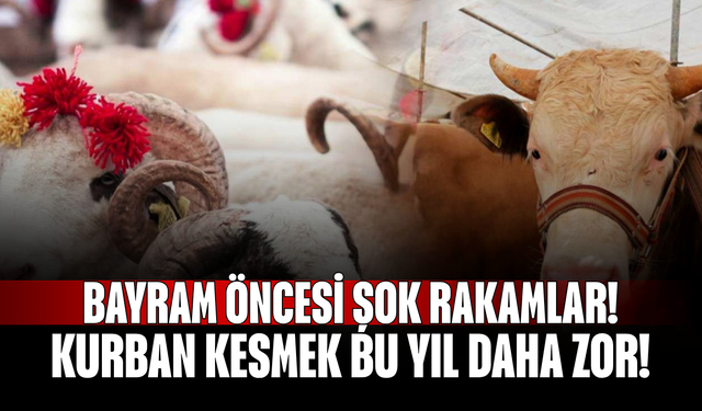 Bayram Öncesi Şok Rakamlar! Kurban Kesmek Bu Yıl Daha Zor!