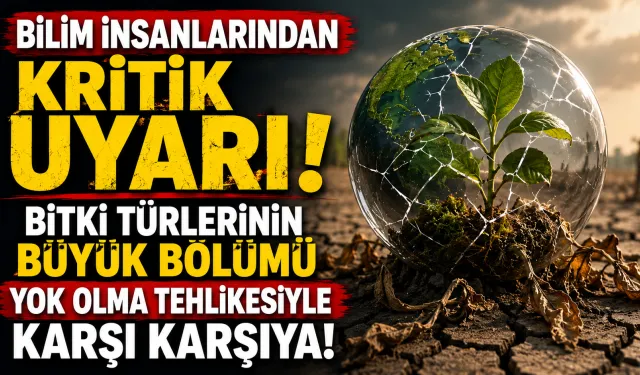 Bilim İnsanlarından Kritik Uyarı! Bitki Türlerinin Büyük Bölümü Yok Olma Tehlikesiyle Karşı Karşıya