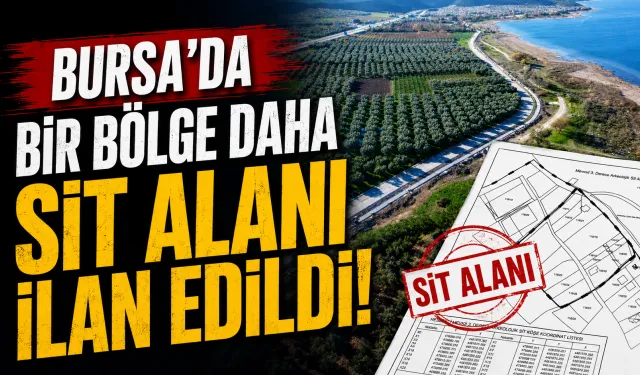 Bursa’da Bir Bölge Daha Sit Alanı İlan Edildi