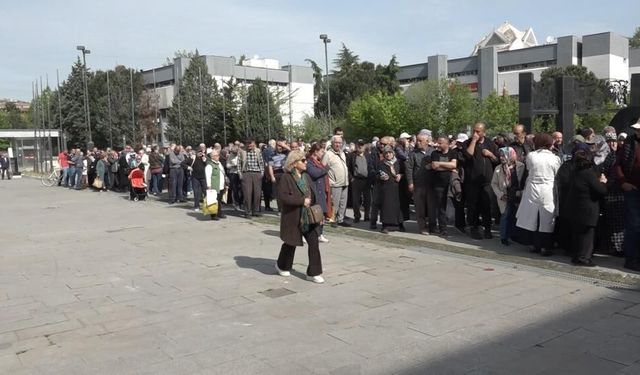 Bursa'da ücretsiz fide izdihamı! 120 bin fide dakikalar içinde dağıtıldı