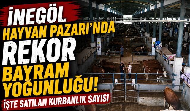İnegöl Hayvan Pazarı’nda Rekor Bayram Yoğunluğu! İşte Satılan Kurbanlık Sayısı
