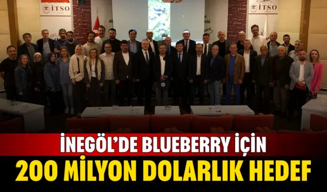 İnegöl’de blueberry için 200 milyon dolarlık hedef