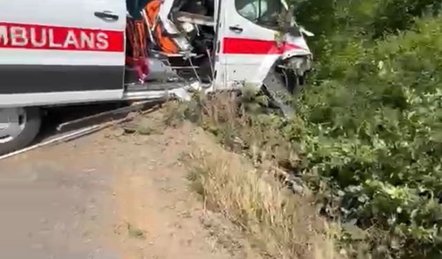 Hasta Taşıyan Ambulans Kontrolden Çıktı
