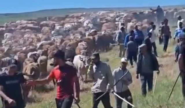 Muş’ta iki köy arasında 'arazi' kavgası