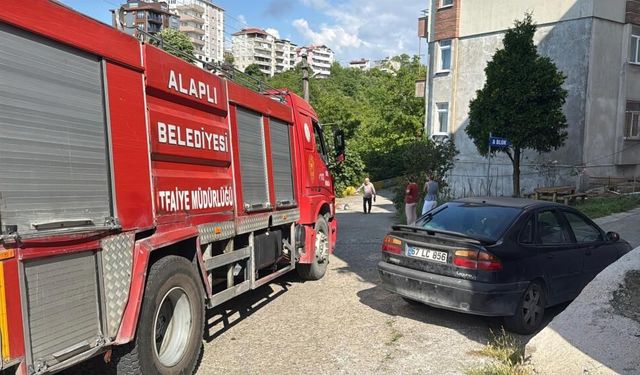Alev topuna dönen piknik tüpü korkuttu!