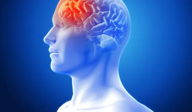 Bilim İnsanları Açıkladı! Meditasyonun Beyin Üzerindeki 4 Şaşırtıcı Etkisi
