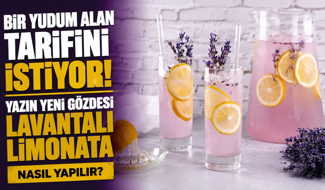 Bir Yudum Alan Tarifini İstiyor! Yazın Yeni Gözdesi Lavantalı Limonata Nasıl Yapılır?