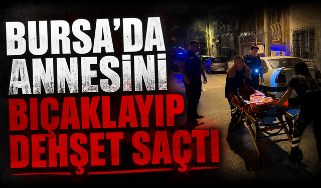 Bursa'da annesini bıçaklayıp dehşet saçtı