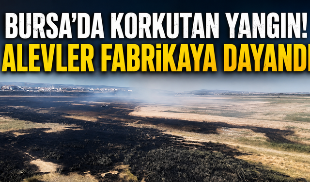 Bursa'da Korkutan Yangın! Alevler Fabrikaya Dayandı