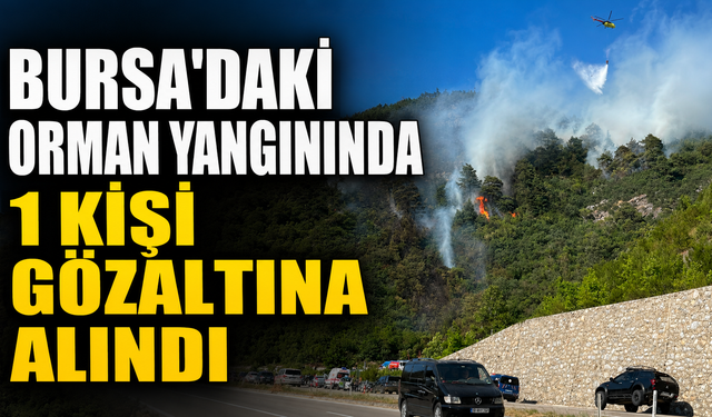 Bursa'daki orman yangınında 1 kişi gözaltına alındı