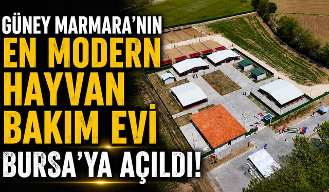 Güney Marmara'nın en modern hayvan bakım evi Bursa'ya açıldı!