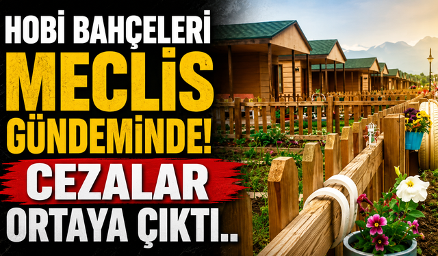 Hobi bahçeleri Meclis gündeminde! Cezalar ortaya çıktı..
