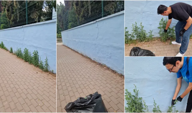 İnegöl MYO Öğrencilerinden Kentsel Alan İyileştirme Çalışması