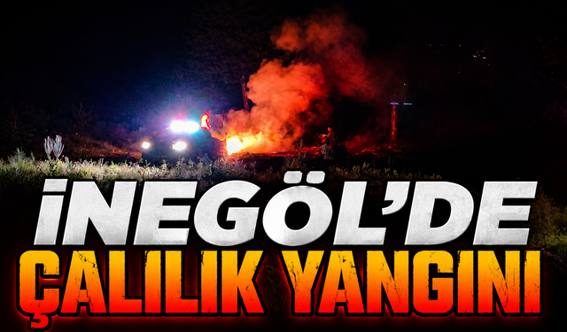 İnegöl'de Çalılık Yangını