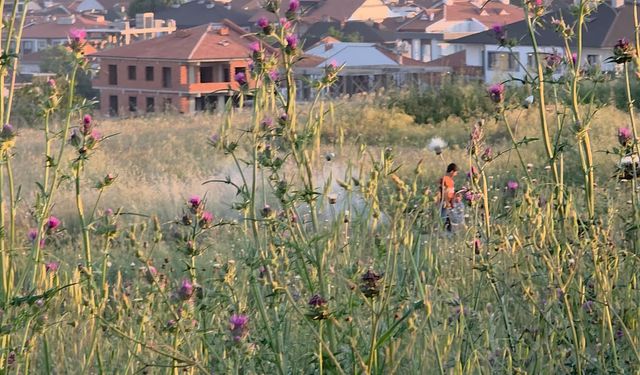 İnegöl’de tarlalık alandan duman yükseldi