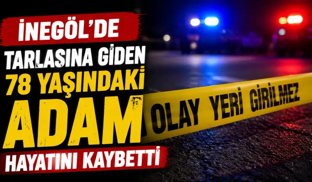 İnegöl'de Tarlasına Giden 78 Yaşındaki Adam Hayatını Kaybetti