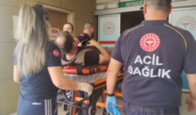 İnegöl’de Üzerine Ağaç Devrilen Kişi Yaralandı