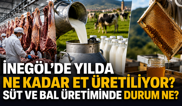 İnegöl’de yılda ne kadar et üretiliyor? Süt ve bal üretiminde durum ne?