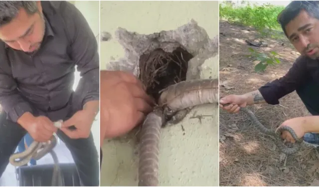 Klimanın Boru Deliğine Giren 1 Metrelik Yılanı Elleriyle Yakaladı