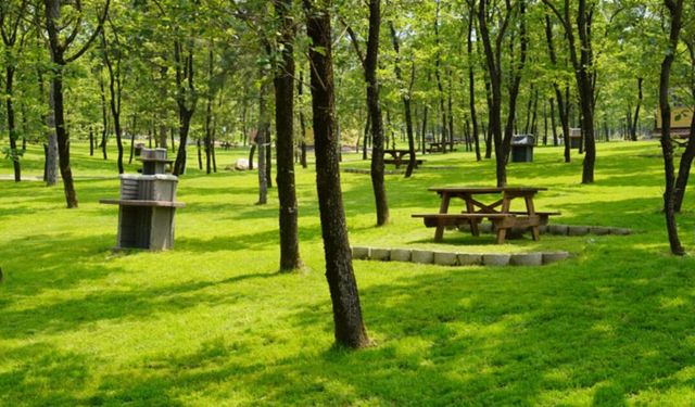 Bursa’da manzara eşliğinde piknik yapabileceğiniz bölgeler