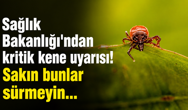 Sağlık Bakanlığı’ndan kritik kene uyarısı! Sakın bunlar sürmeyin...
