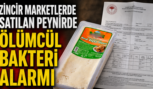 Zincir Marketlerde Satılan Peynirde Ölümcül Bakteri Alarmı
