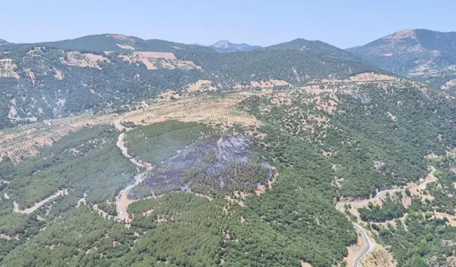 Aynı Anda 3 İlde Orman Yangını! Havadan ve Karadan Müdahale Sürüyor