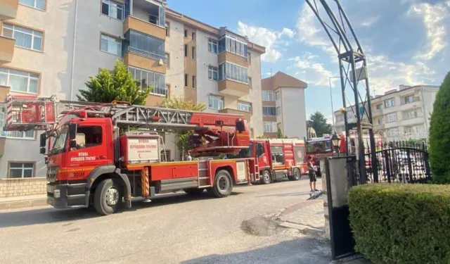 İnegöl’de İtfaiyeden Kedilere Hayat Kurtaran Müdahale