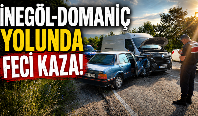 İnegöl-Domaniç Yolunda Feci Kaza!