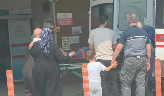 İnegöl’de Ihlamur Toplarken Ağaçtan Düştü