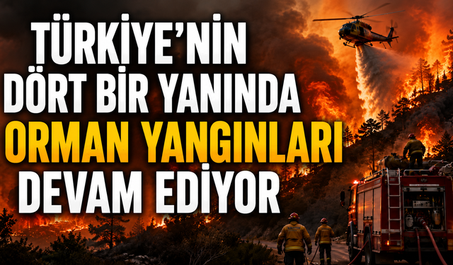 Türkiye’nin dört bir yanında orman yangınları devam ediyor