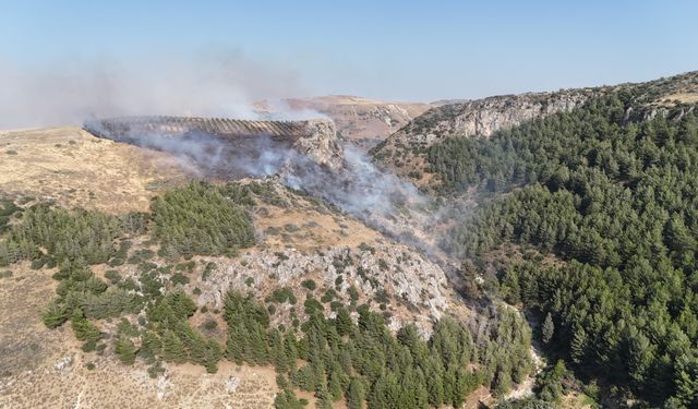 Hatay'da orman yangını!
