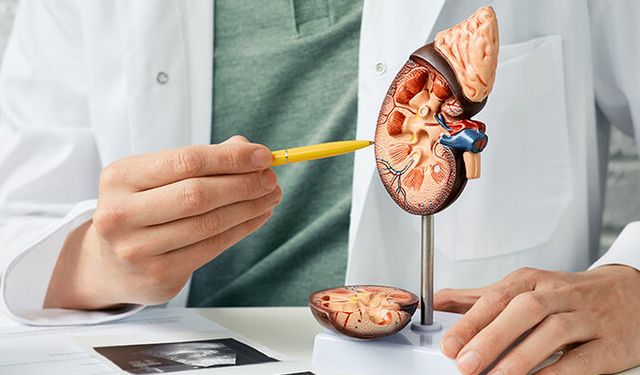 Böbreklerinizi Sessizce Tehdit Ediyor! Bu 3 Soruna Dikkat