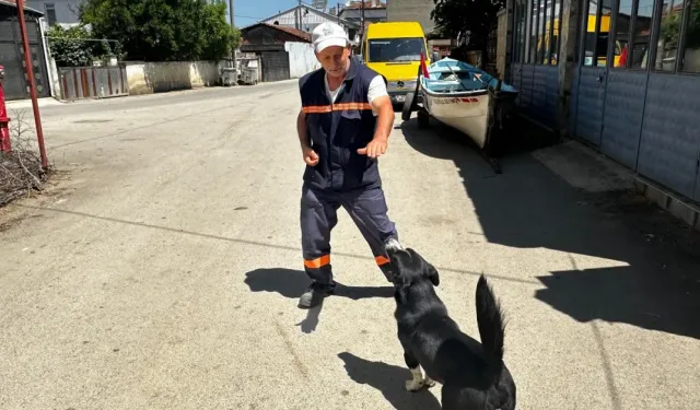 Bursa’da sahibini kaybeden “Dayı”ya 2 yıldır Yusuf Başaran sahip çıkıyor