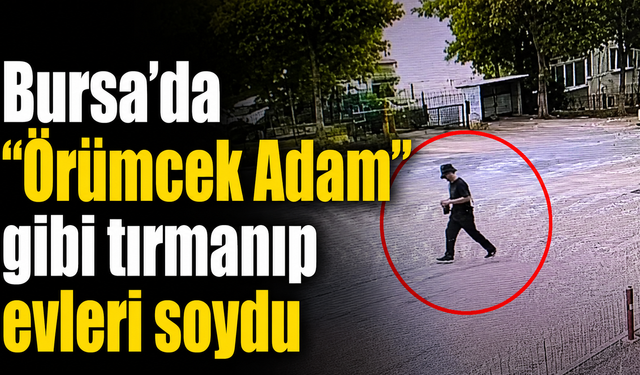 Bursa’da “Örümcek Adam” gibi tırmanıp evleri soydu