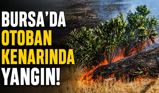 Bursa’da otoban kenarında yangın! Ekipler ve vatandaşlar müdahale etti