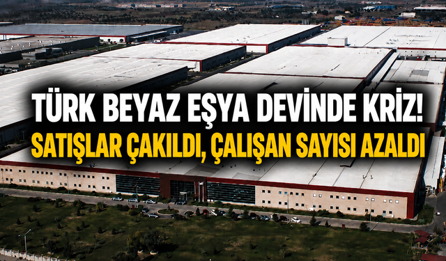 Türk Beyaz Eşya Devinde Kriz! Satışlar Çakıldı, Çalışan Sayısı Azaldı