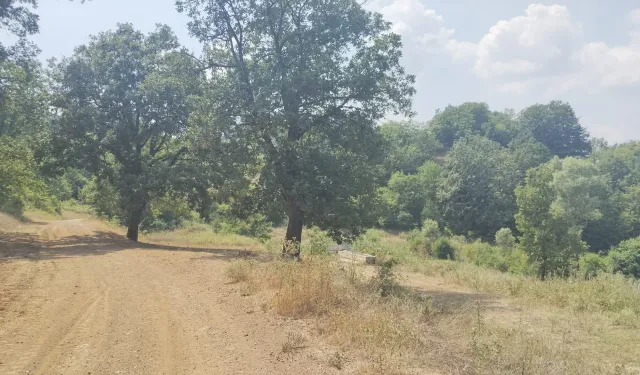 Orman sınırında kalan tapular için yeni dönem: Bursa ve İnegöl'deki köylüleri yakından ilgilendiriyor