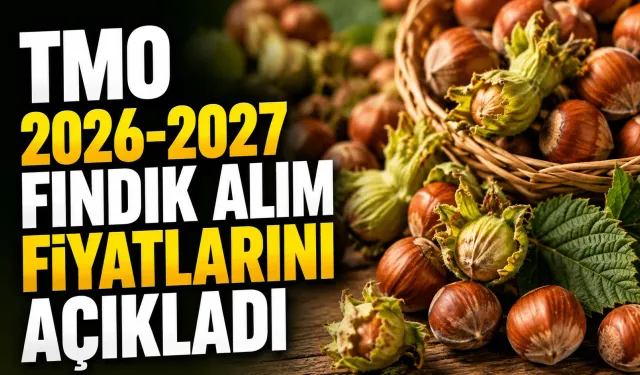 TMO 2026-2027 fındık alım fiyatlarını açıkladı