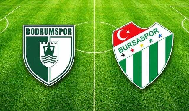 Bodrum FK-Bursaspor maç özeti