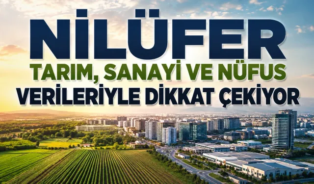Yatırımcıların göz bebeği Nilüfer'in istatistikleri umut verdi