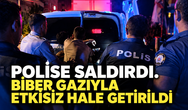 Polise saldırdı, biber gazıyla etkisiz hale getirildi