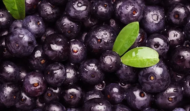 Açai Meyvesi Nedir? Açai Berry Faydaları Nelerdir, Kilo Verdirir Mi?