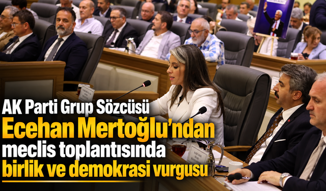 AK Parti Grup Sözcüsü Ecehan Mertoğlu'ndan meclis toplantısında birlik ve demokrasi vurgusu