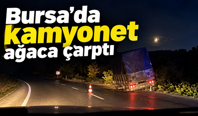 Bursa'da kamyonet ağaca çarptı !