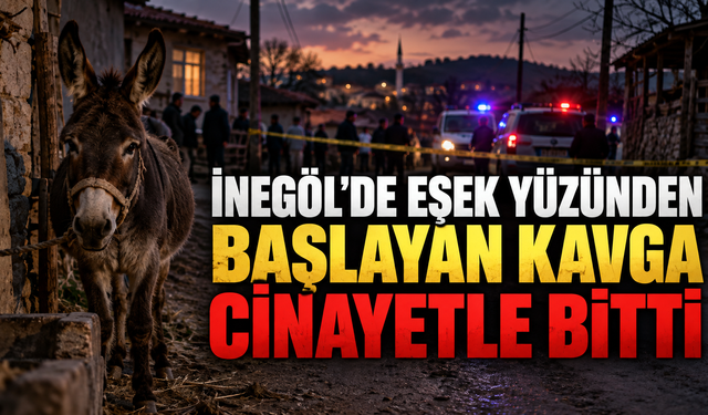 İNEGÖL'DE EŞEK YÜZÜNDEN BAŞLAYAN KAVGA CİNAYETLE BİTTİ
