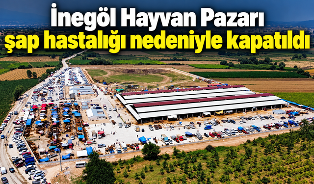 İnegöl Hayvan Pazarı şap hastalığı nedeniyle kapatıldı